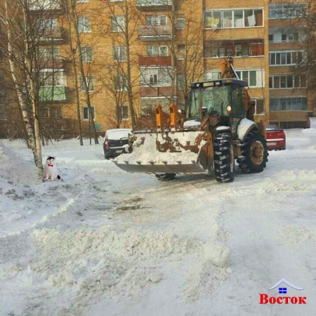 #����������� �������� 